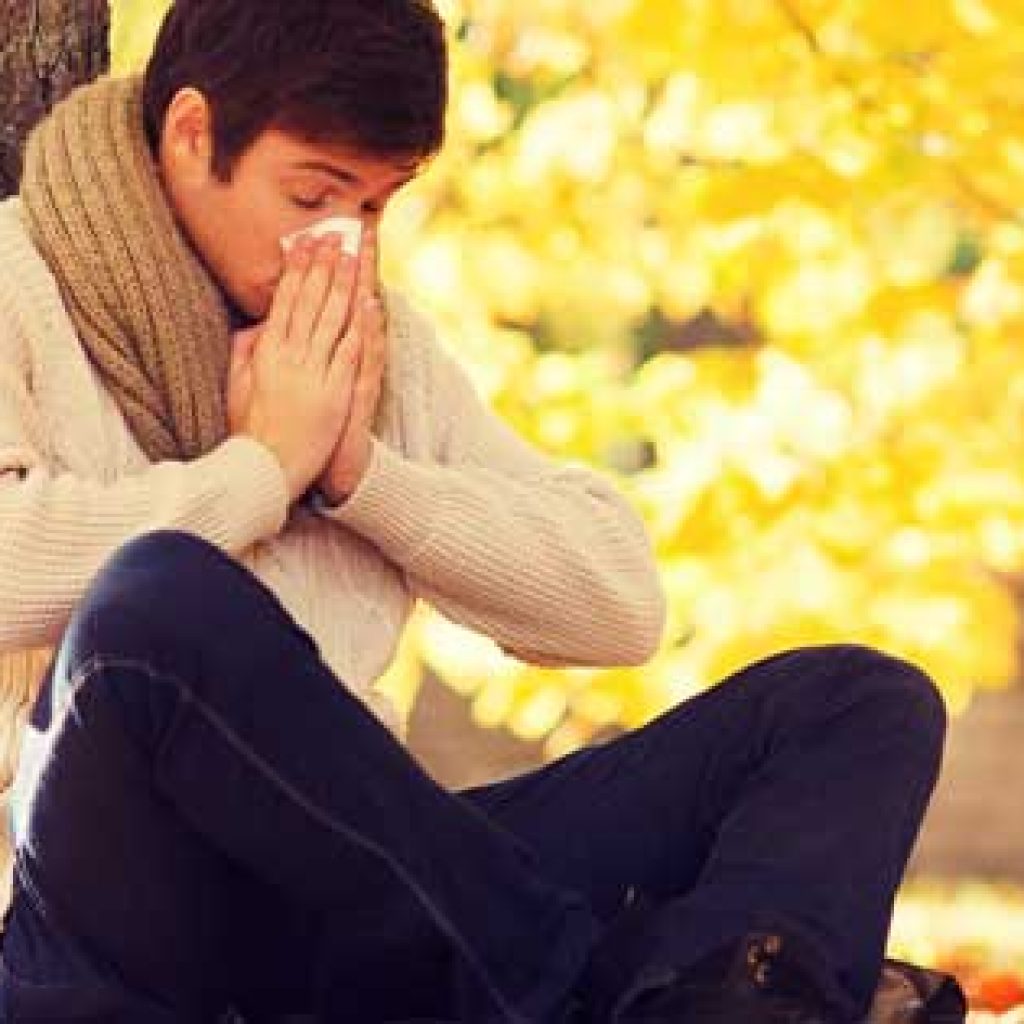 fall Medical Arts Allergy, PC